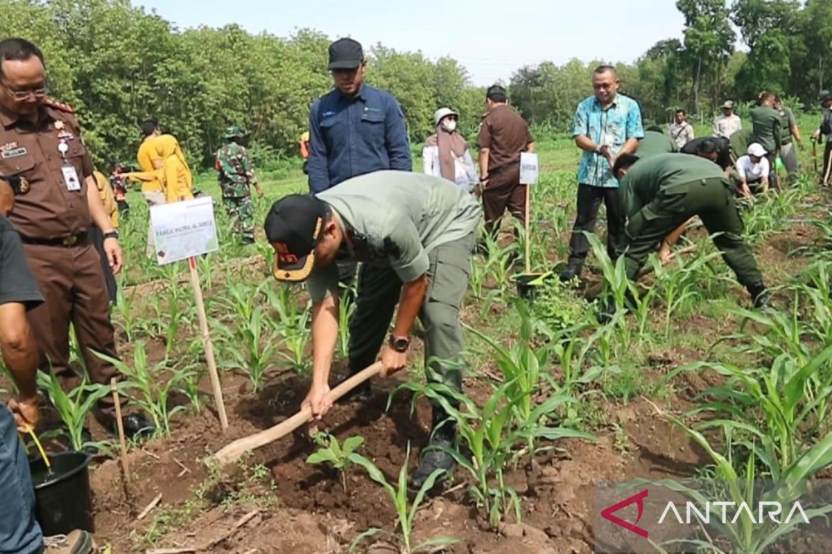 KPH Madiun tanam ratusan bibit pohon untuk cegah pemanasan global