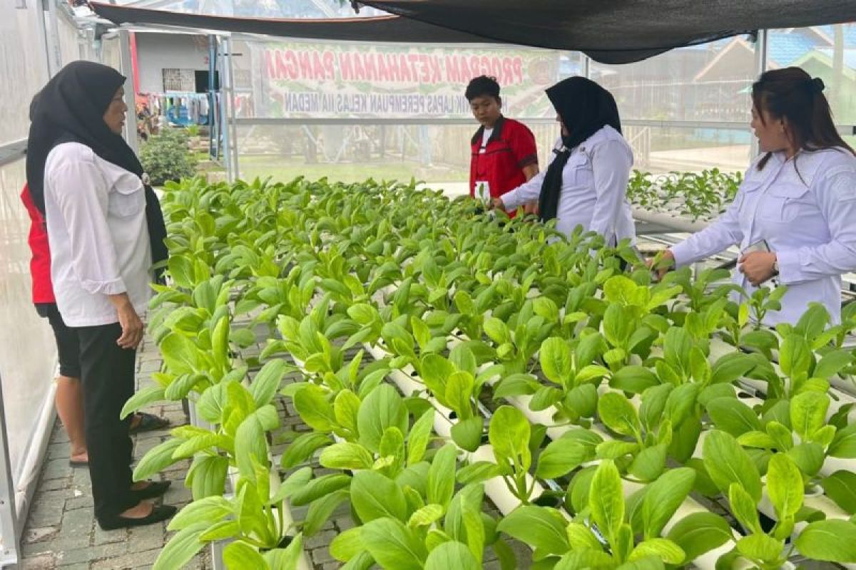 Lapas Perempuan tingkatkan pengetahuan warga binaan tanaman hidroponik