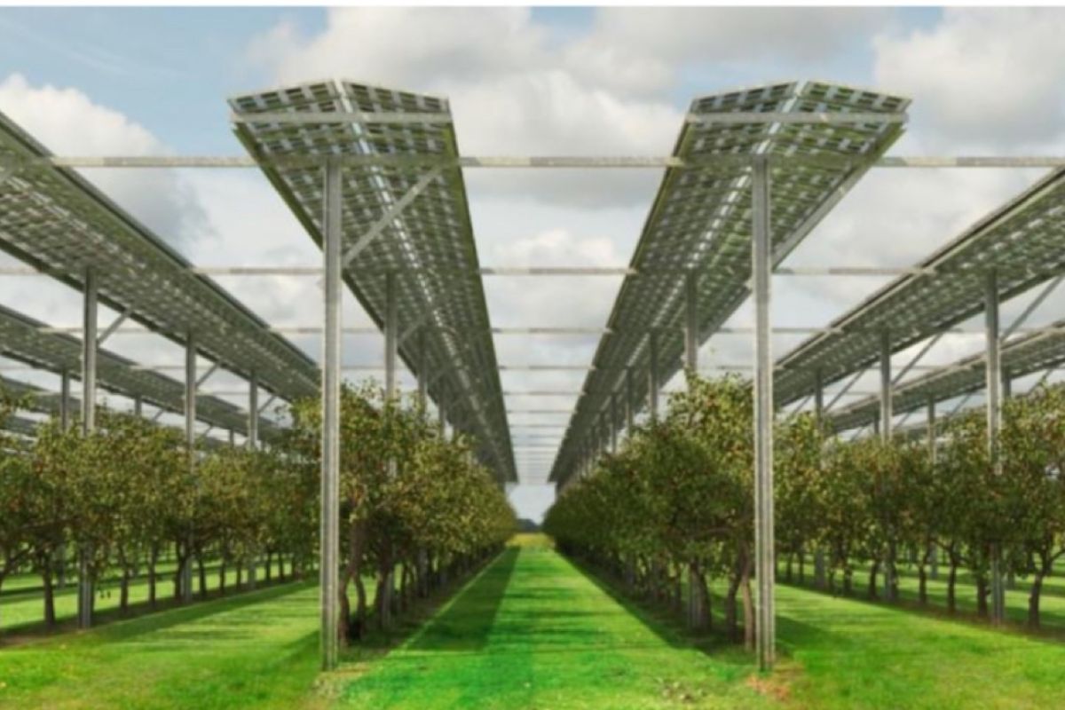 Agrivoltaics, Integrasi sistem PV dengan pertanian untuk dukung energi bersih dan ketahanan pangan