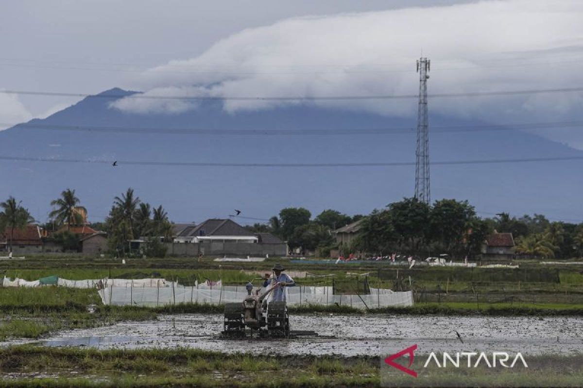 Mentan akan garap 2,3 juta hektare lahan untuk swasembada pangan