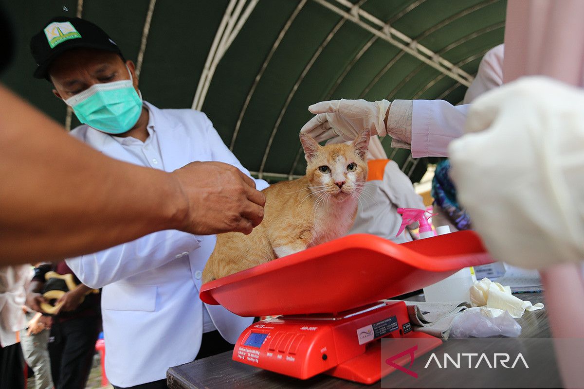 FOTO - Aceh luncurkan klinik hewan keliling