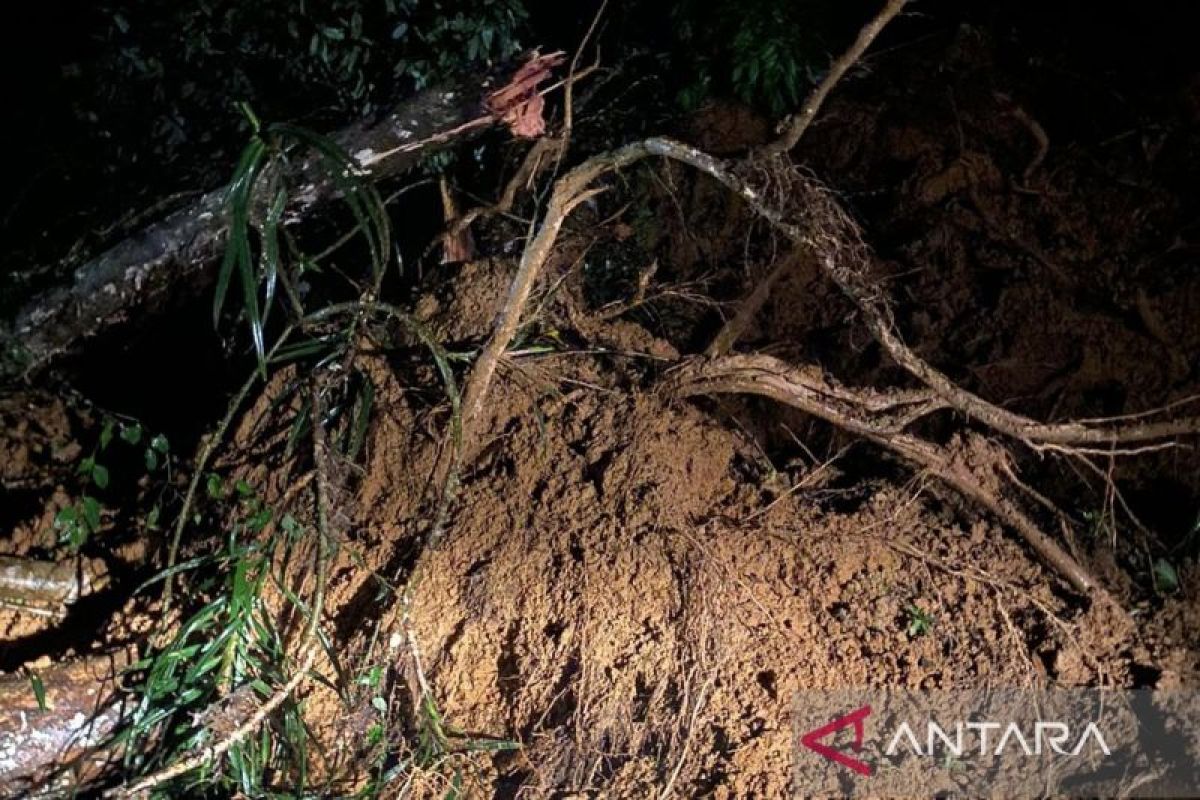 Beutong Ateuh diterjang longsor, jalan lintas Nagan Raya - Aceh Tengah terganggu