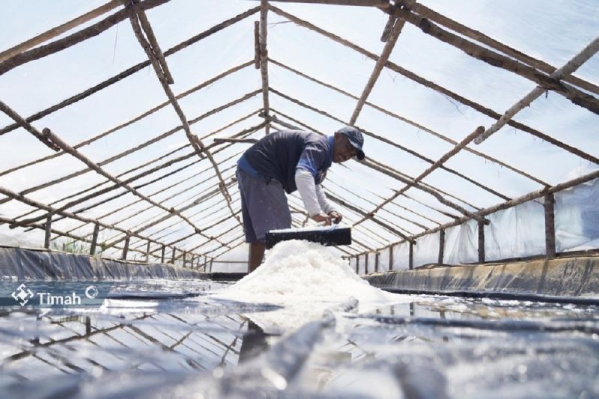 Berkat PT Timah, produksi gram KUPS Belitung Timur naik 100 persen