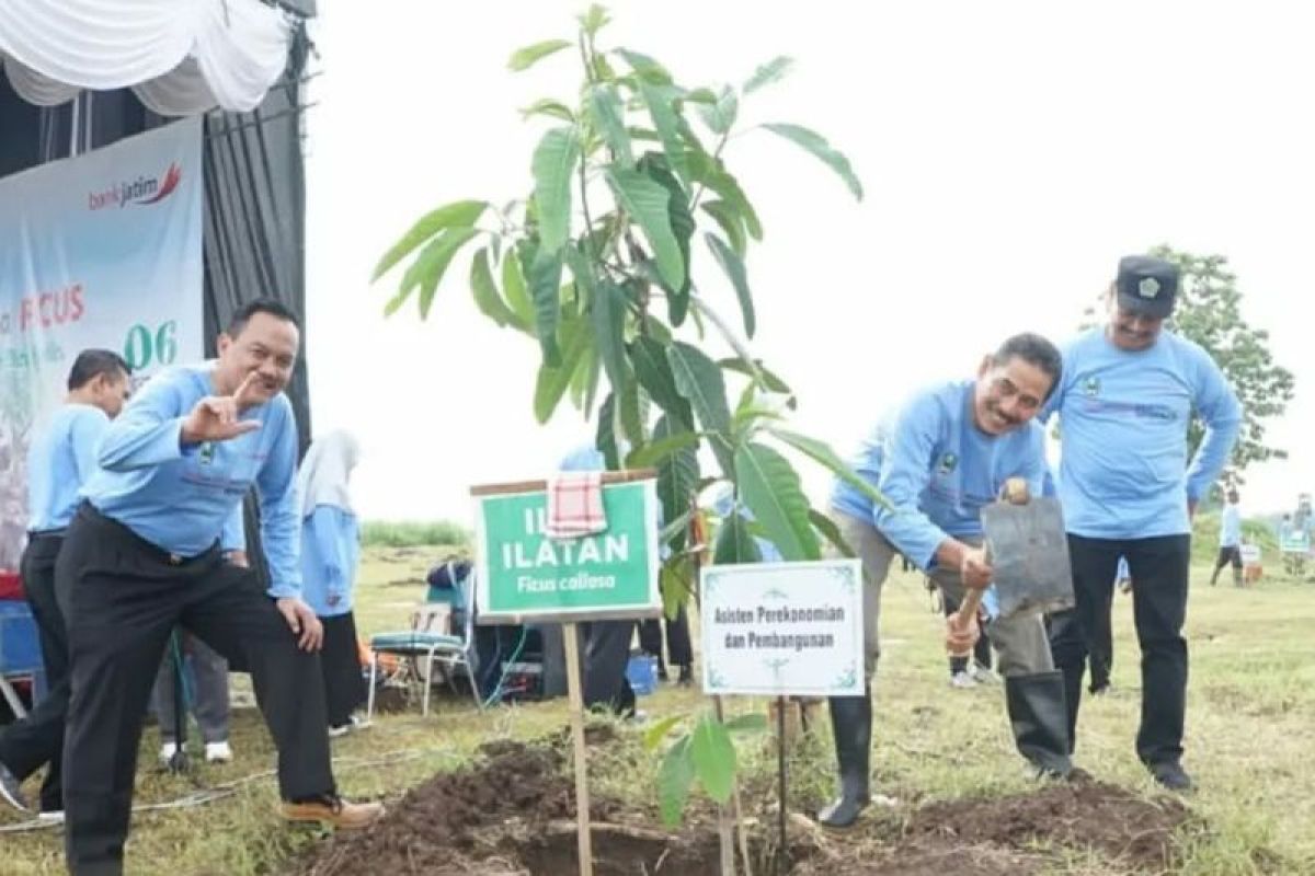 Pemkab Magetan targetkan ruang terbuka hijau capai 30 persen