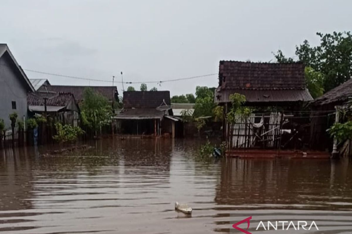 Ratusan rumah warga di Situbondo terendam banjir