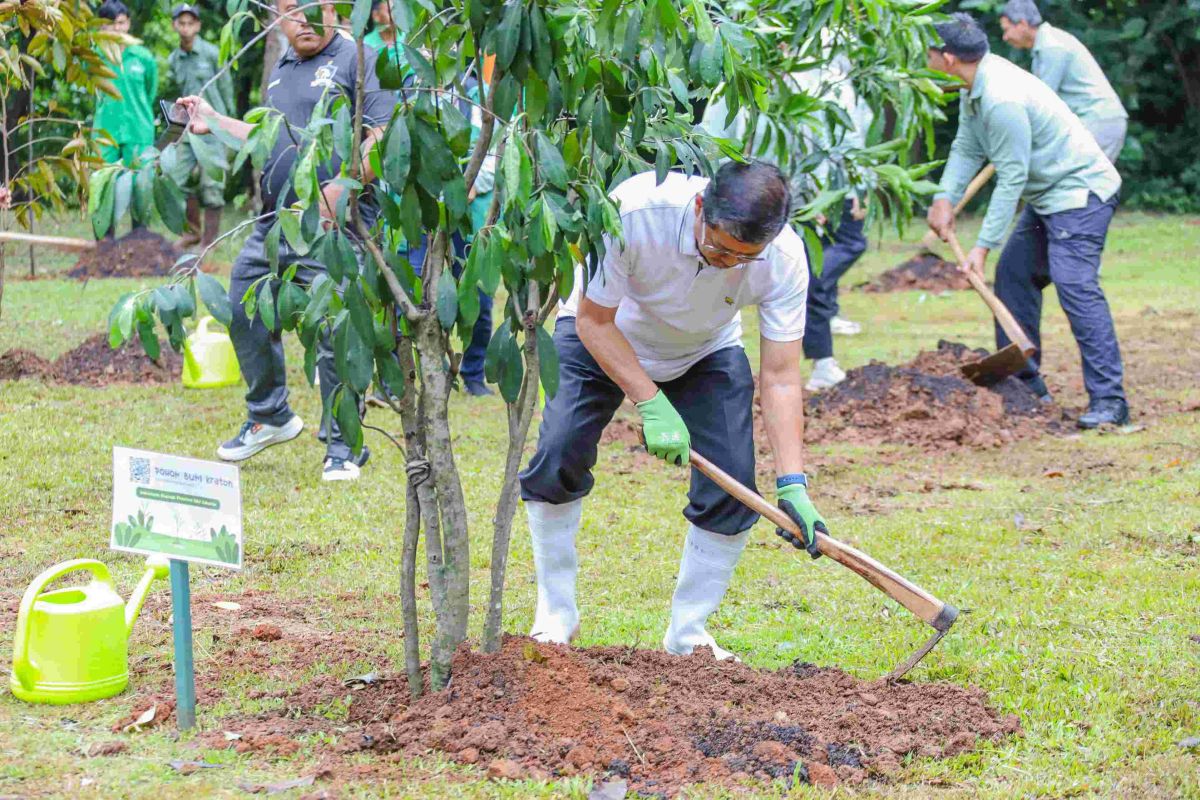 DKI perbanyak RTH berbasis pohon guna perbaiki kualitas udara