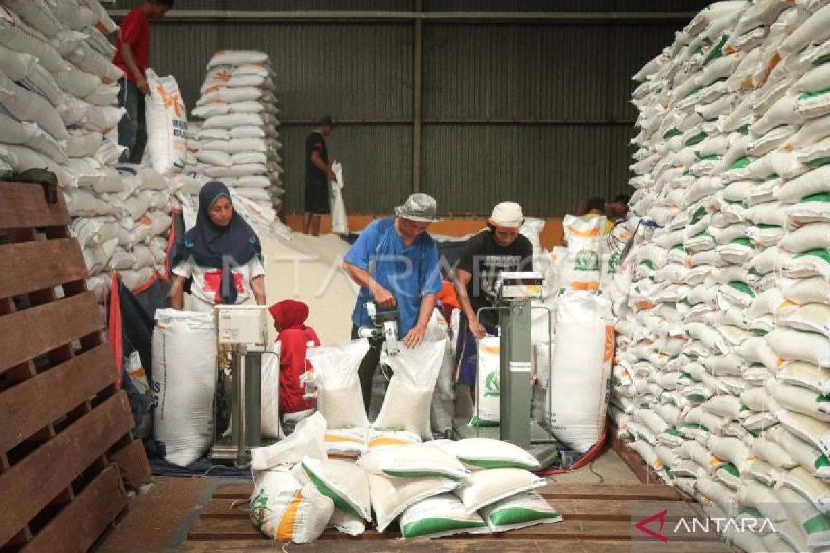 Terpopuler: beras impor masuk NTB, usut sindikat narkoba hingga soal kecurangan seleksi PPPK di Bima