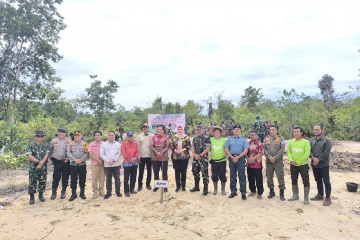 PT TAM - Korem 045 tanam 22.000 kayu putih rehabilitas DAS Tiram Bangka Selatan