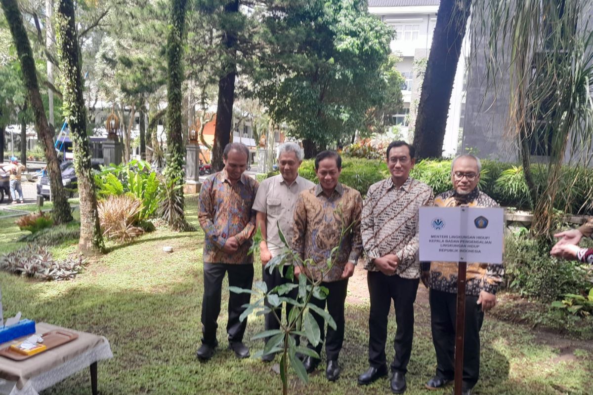 Kementerian LH gandeng UB maksimalkan rehabilitasi lahan mangrove