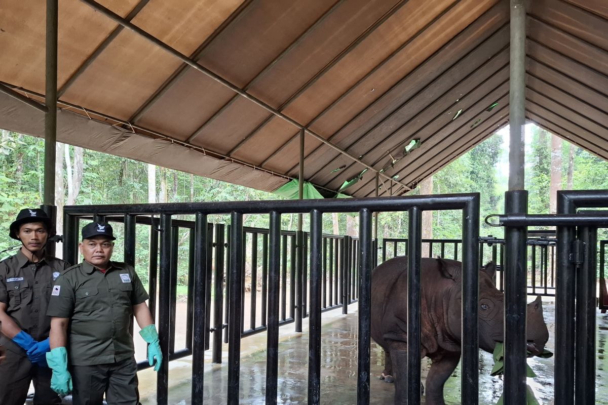 Menhut sebut Suaka Rhino Sumatera (SRS) segera diperluas