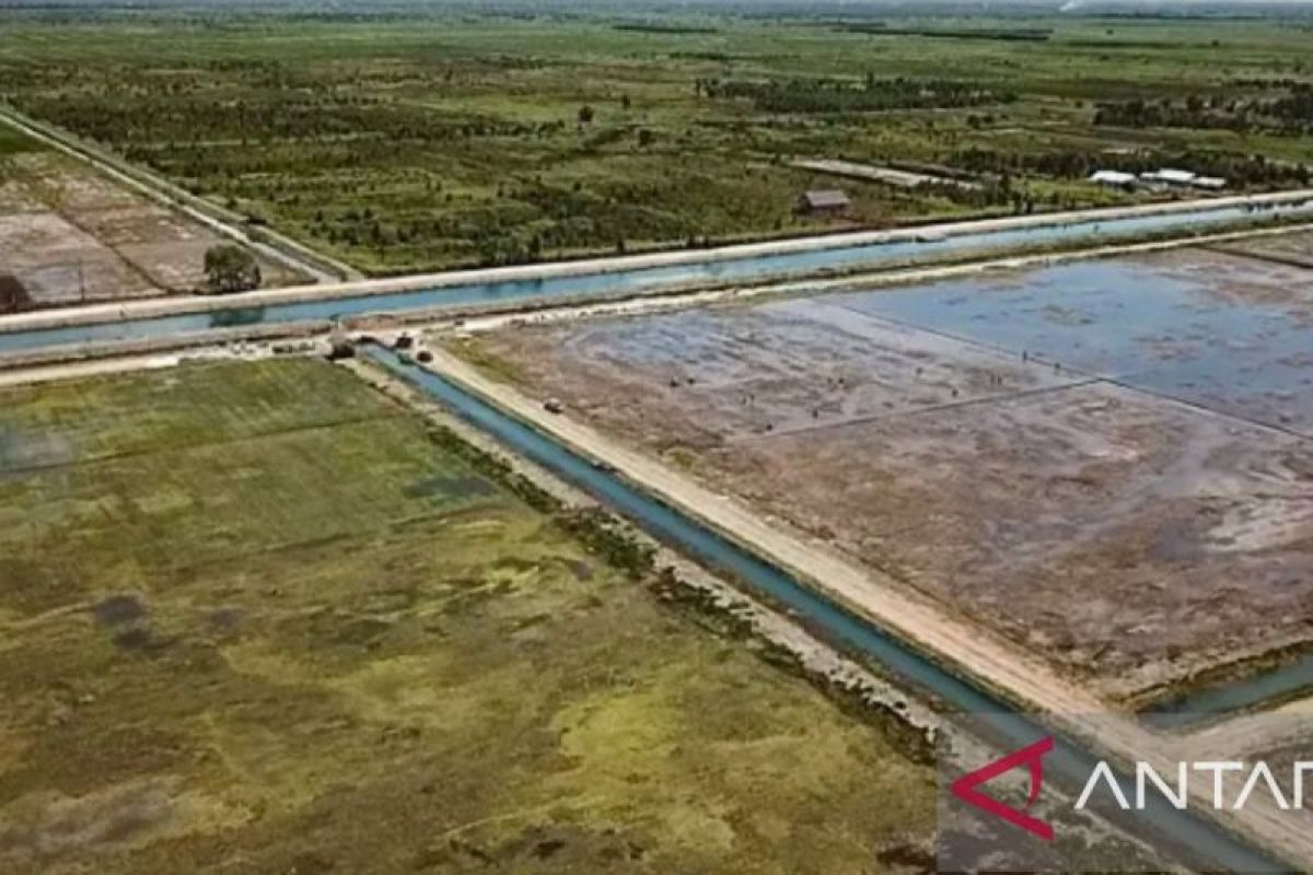 Pemkab Purwakarta rehabilitasi ribuan meter saluran irigasi selama 2024