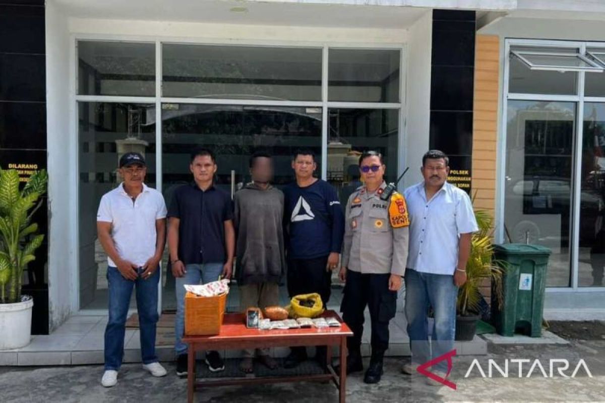 Polres Jayapura tangkap pemuda pengedar ganja di Sentani