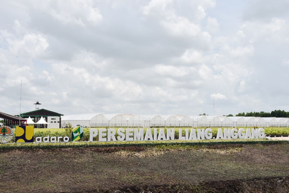 Persemaian bibit skala besar siap dukung rehabilitasi hutan dan lahan