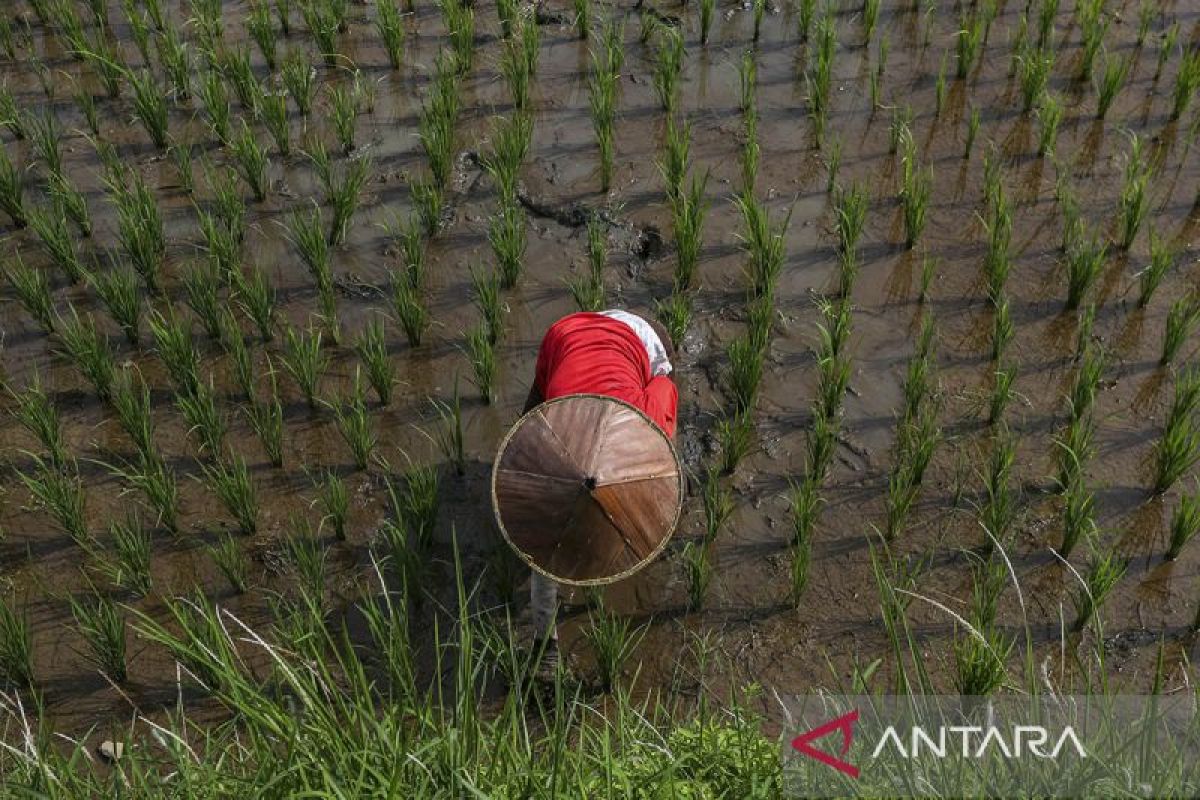 Nilai tukar petani Provinsi Banten