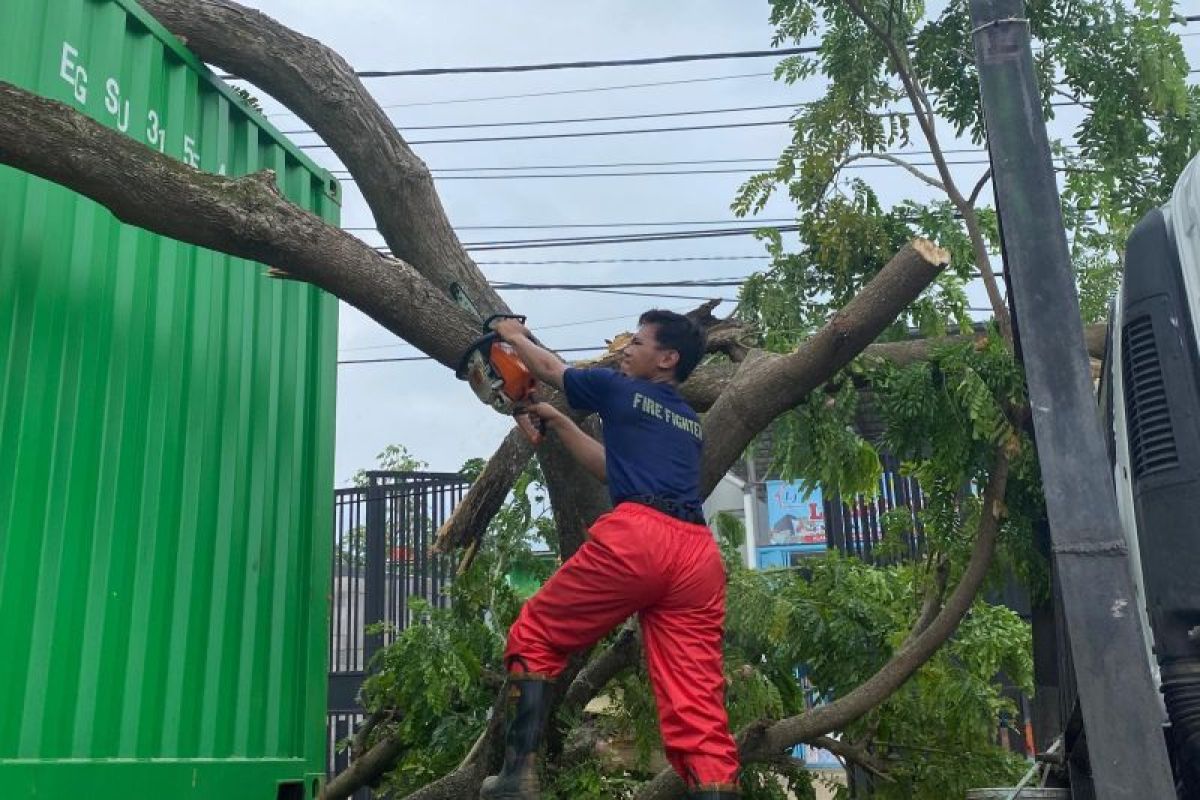 Truk kontainer tabrak pohon hingga tumbang akibatkan lalin tersendat di Tangerang