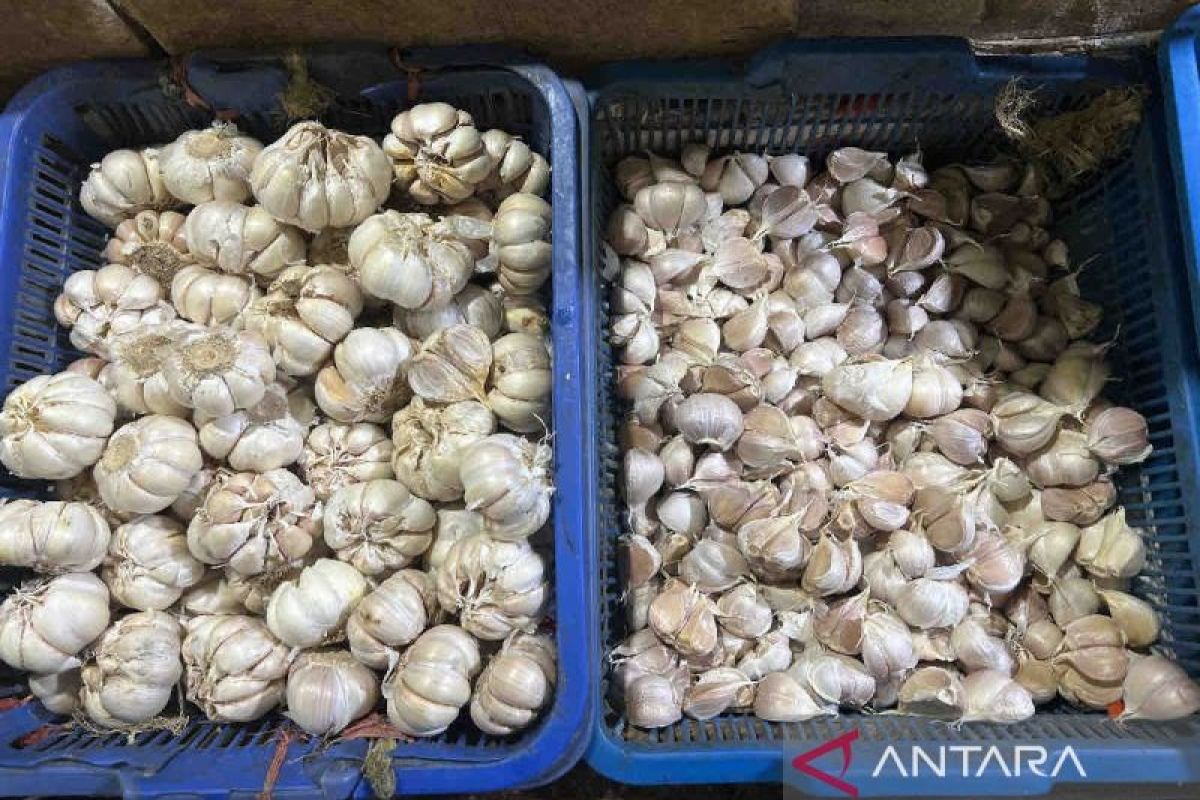 Harga pangan Senin, bawang putih naik Rp5.410 jadi Rp47.520 per kg