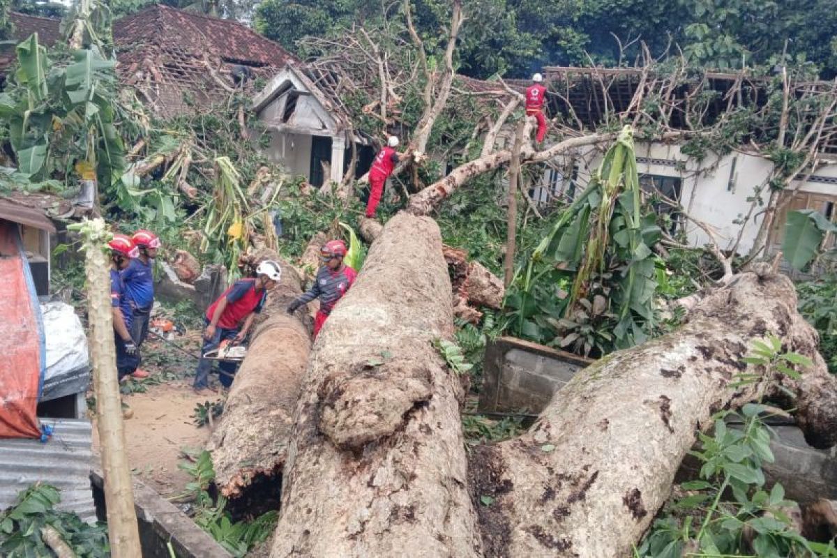 BPBD Bantul lakukan penanganan prioritas pada lokasi terdampak angin kencang