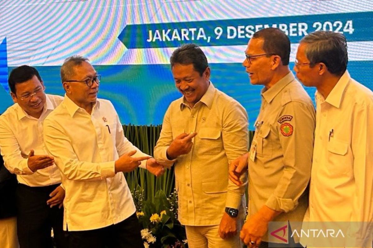 Menko Zulkifli sebut stok beras nasional capai 8 juta ton