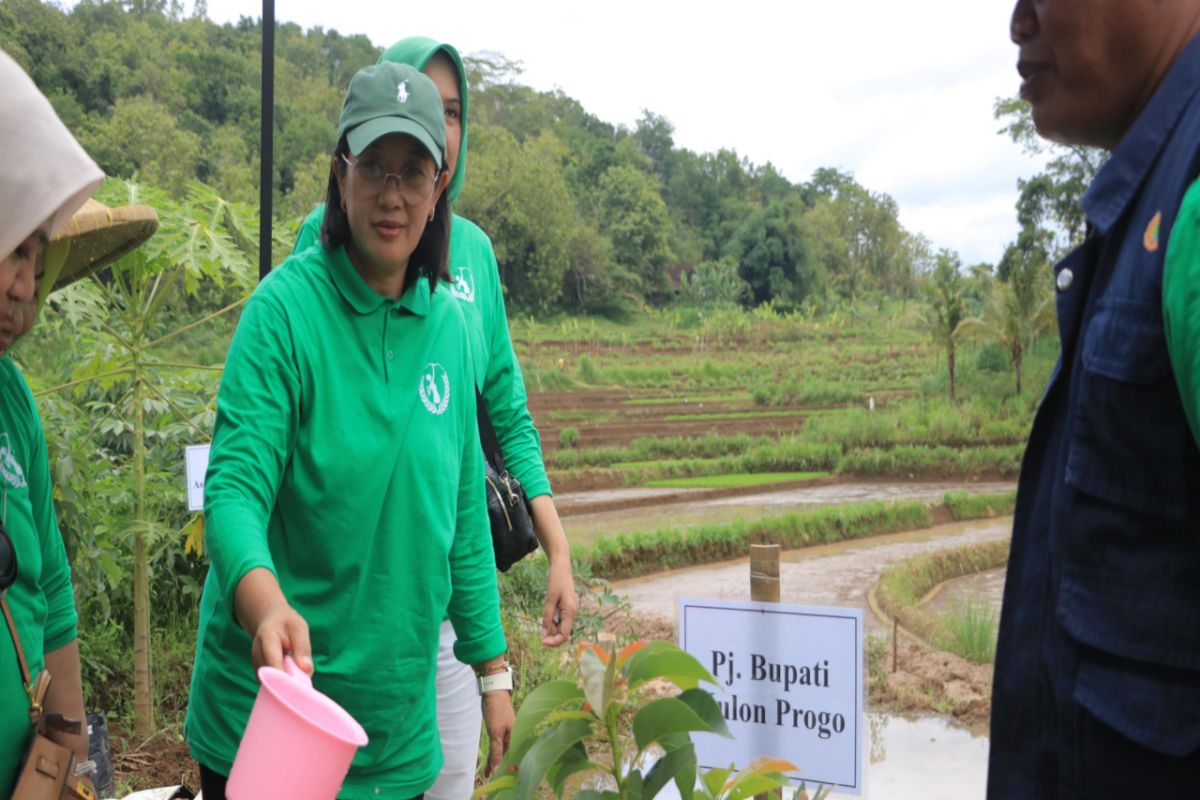 Persikindo Kulon Progo menanam pohon di Giripurwo lestarikan lingkungan