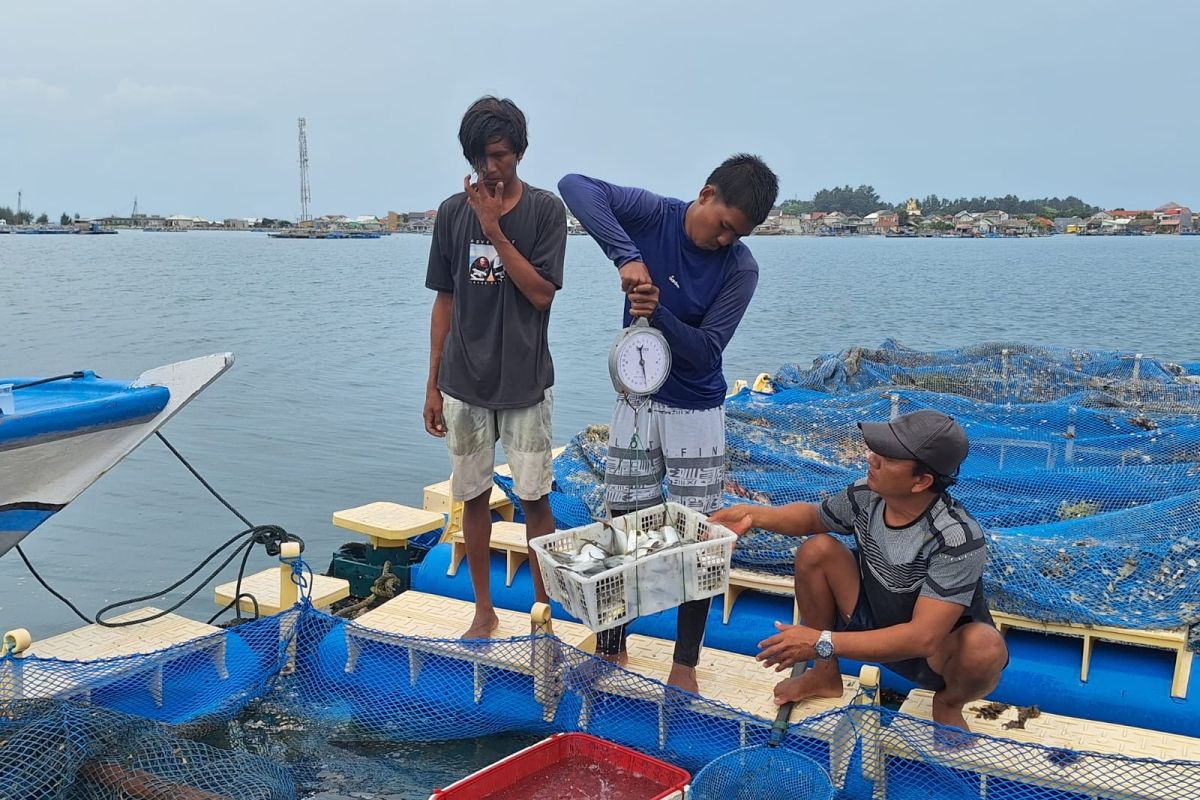 Pemkab dorong kelompok nelayan tingkatkan produksi ikan