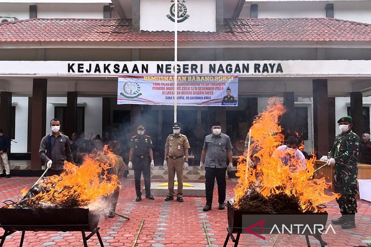 Kejari Nagan Raya musnahkan 9,7 kg ganja hasil kejahatan