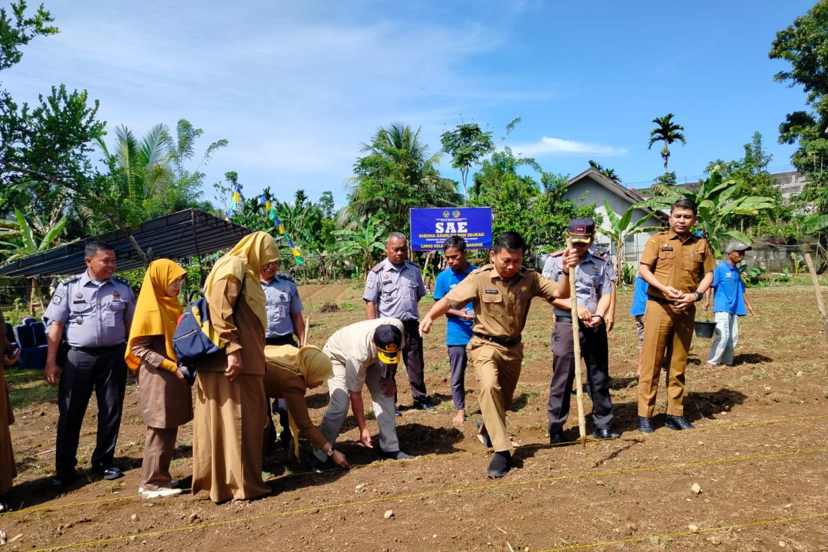 Lapas Lubuk Basung Agam tanam jagung dukung program kemandirian pangan