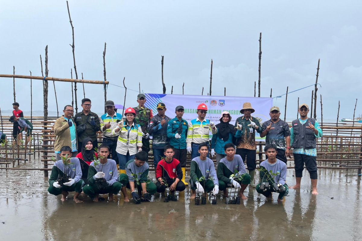 IBT bersama SMKN Pulau Laut Barat tanam 1.000 mangrove