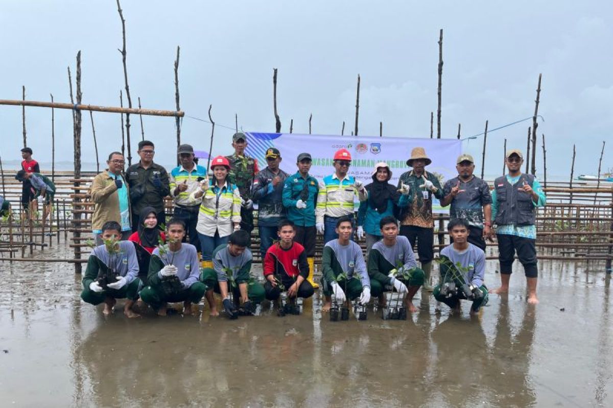 IBT, SMKN Pulau Laut Barat plant 1,000 mangrove on Tamiyang beach