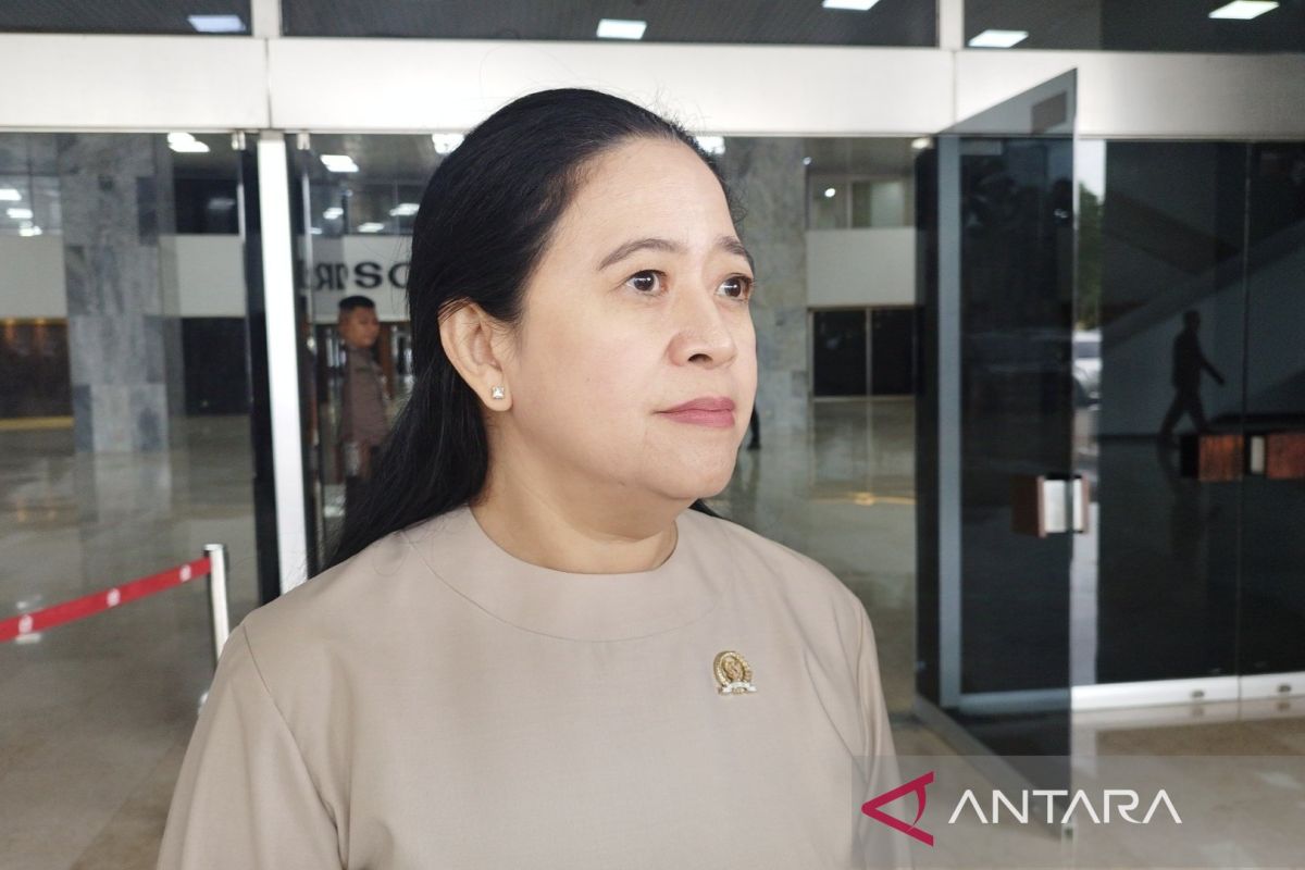 Ketua DPR Puan minta pemerintah pastikan kesiapan angkutan umum akhir tahun