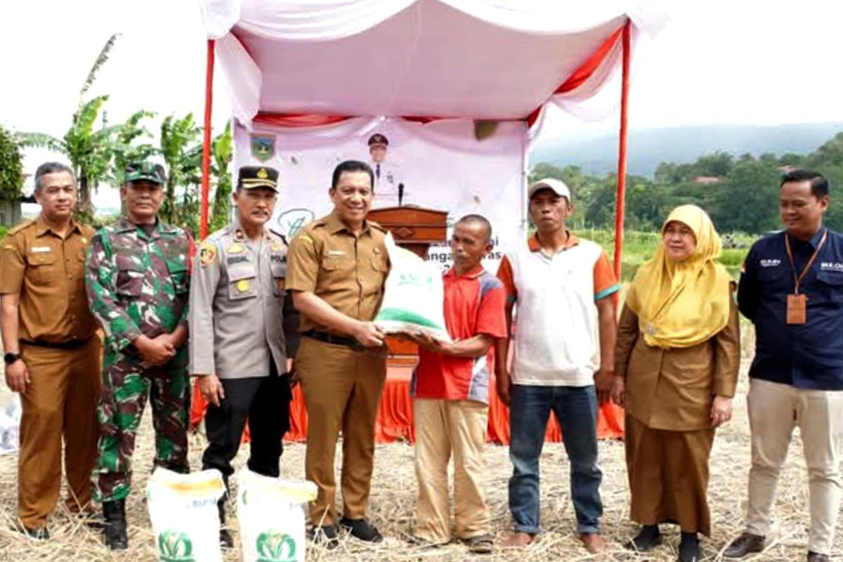 Pj. Wako Padang Panjang : Petani berperan penting jaga stabilitas harga