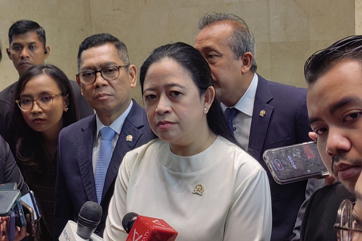 Puan Maharani sebut pringatan Hari HAM Sedunia momentum perkuat pemenuhan hak dasar