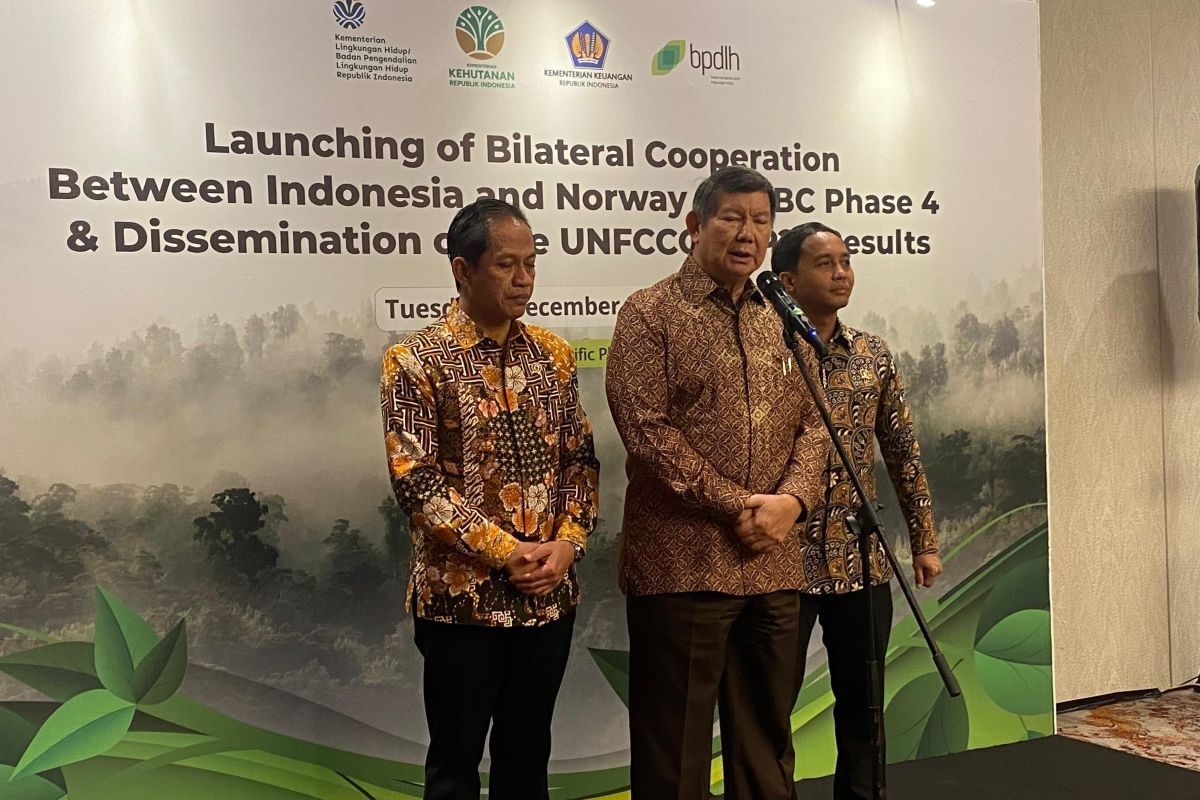 Pemerintah Indonsia rencanakan program reforestasi masif sasar lahan kritis