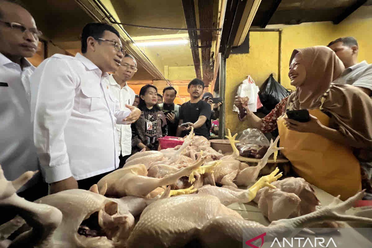 Harga pangan pada Rabu umumnya naik, daging ayam jadi Rp36.710 per kg