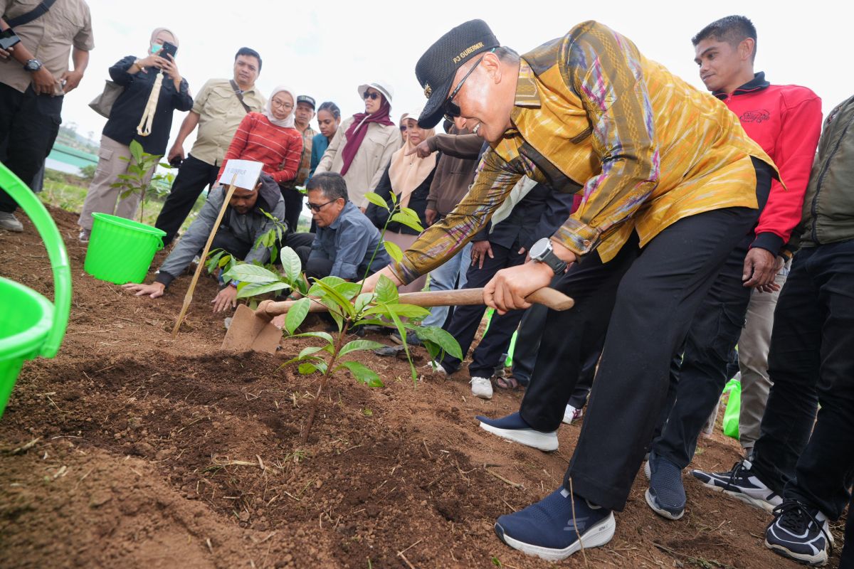 Pemprov Sulsel telah tanam 12,5 juta pohon sebagai upaya rehabilitasi hutan