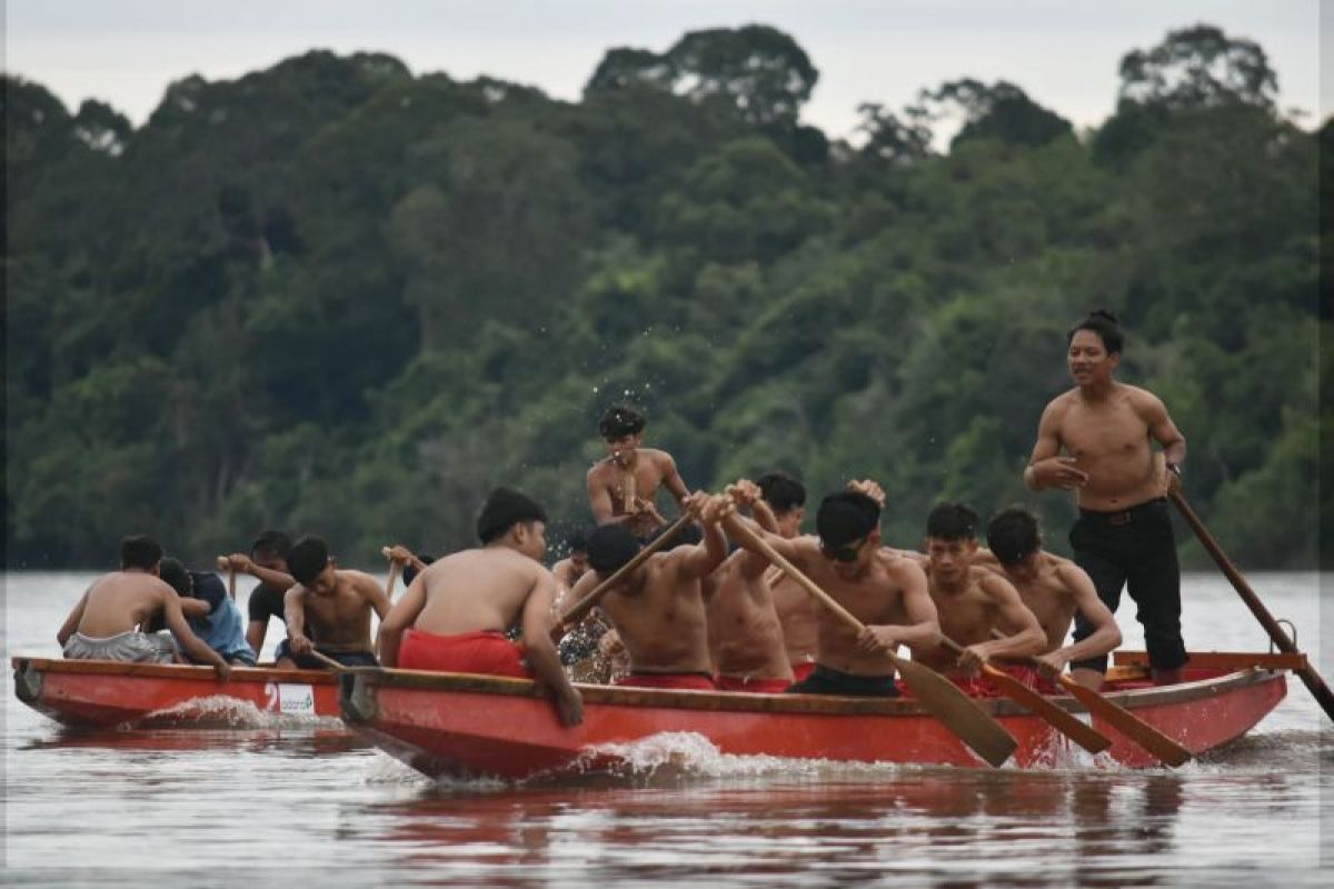 Festival Tana Malai Tolung Lingu ajang lahirnya atlet Dayung unggulan