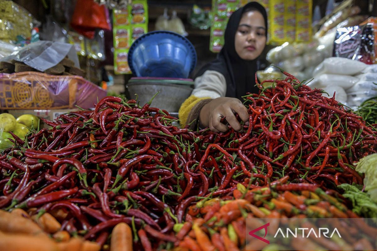 Kenaikan harga bahan pokok jelang Nataru