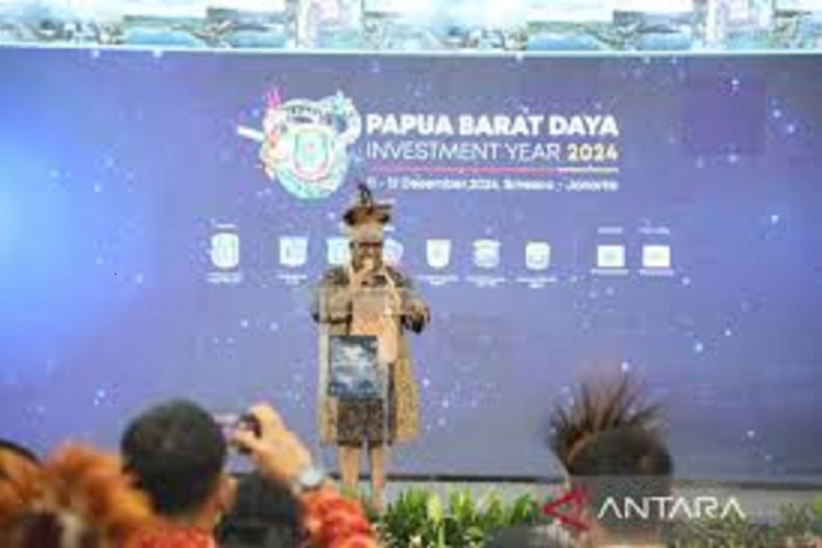 Wamendagri tekankan investasi kunci utama pembangunan Papua Barat Daya