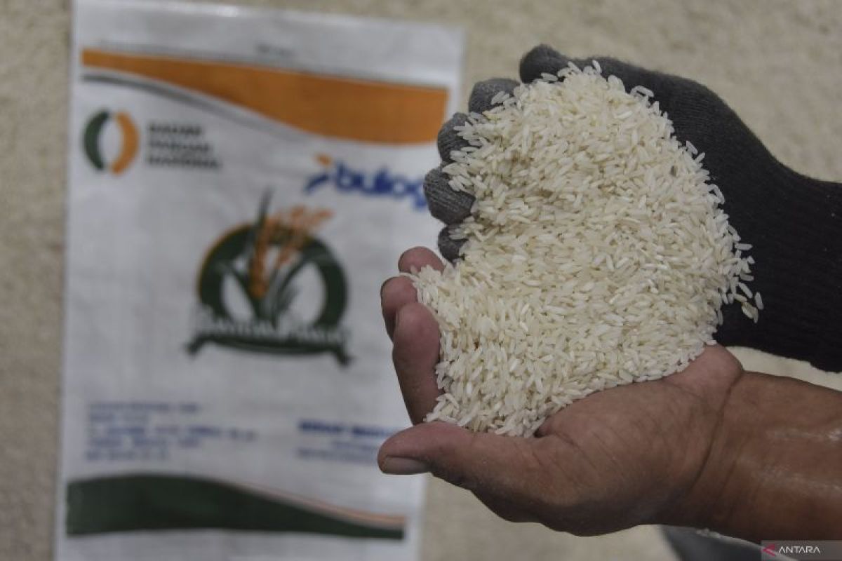 Mentan sebut 362 ribu ton beras bansos telah tersalurkan