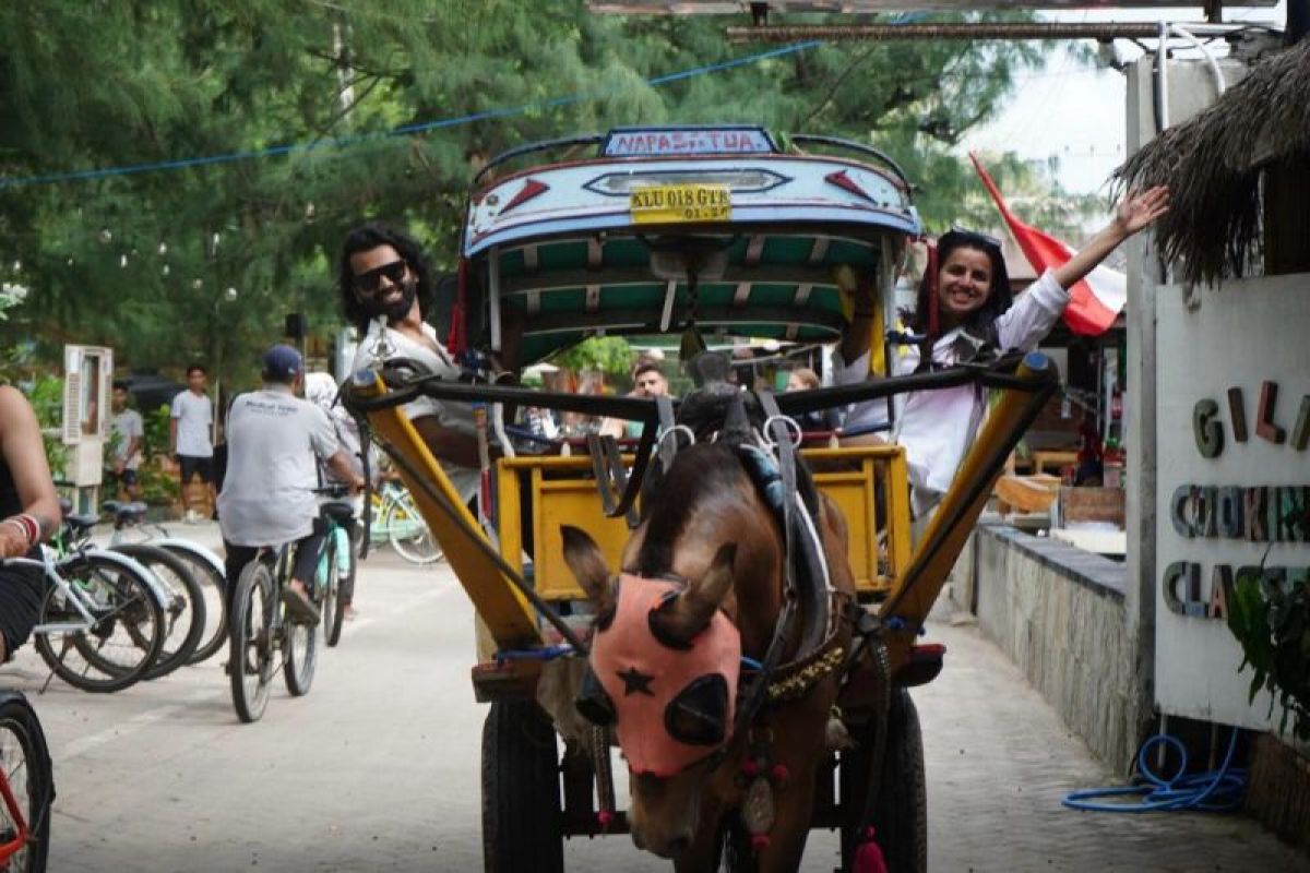 Pemerintah promosikan wisata Bali dan Lombok kepada turis India