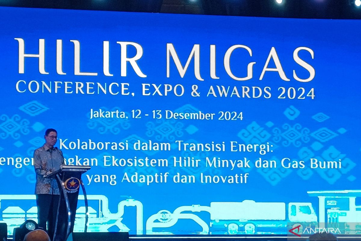 Minister highlights downstream oil, gas role in energy sufficiency