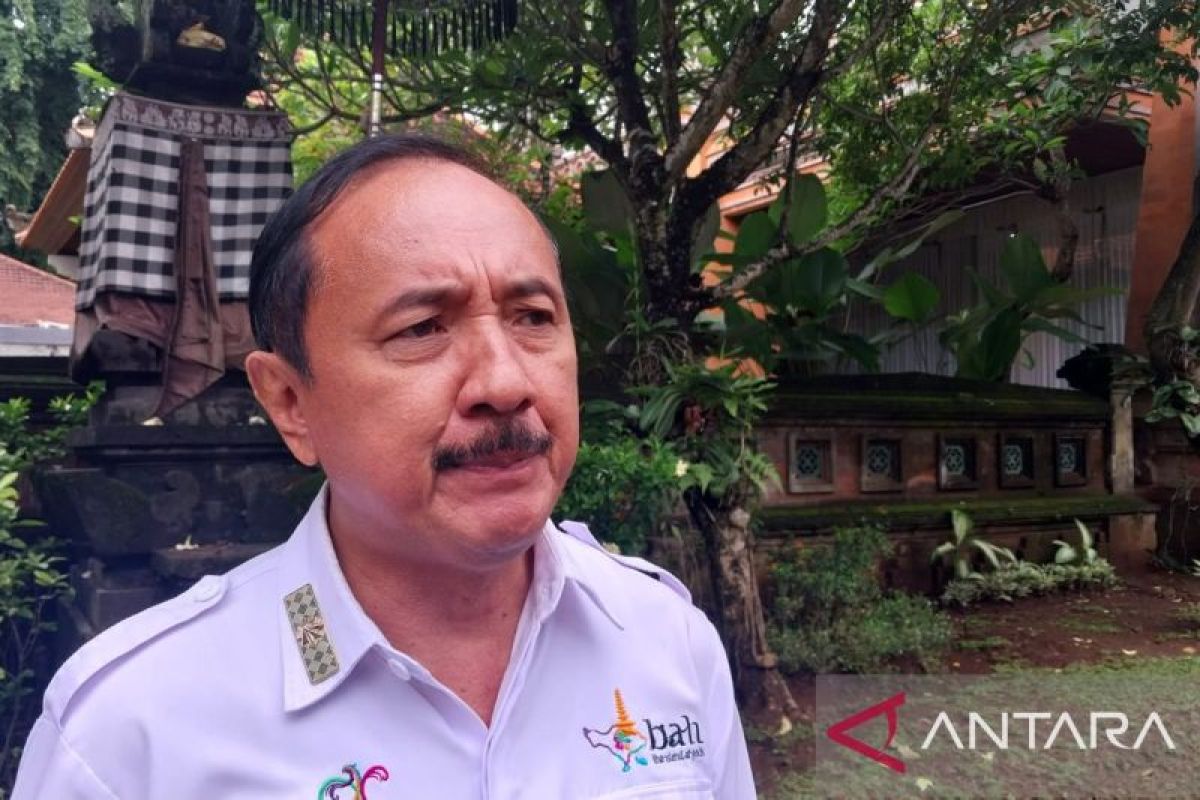 Dispar respon soal tinggi angka DBD warga Australia usai libur di Bali