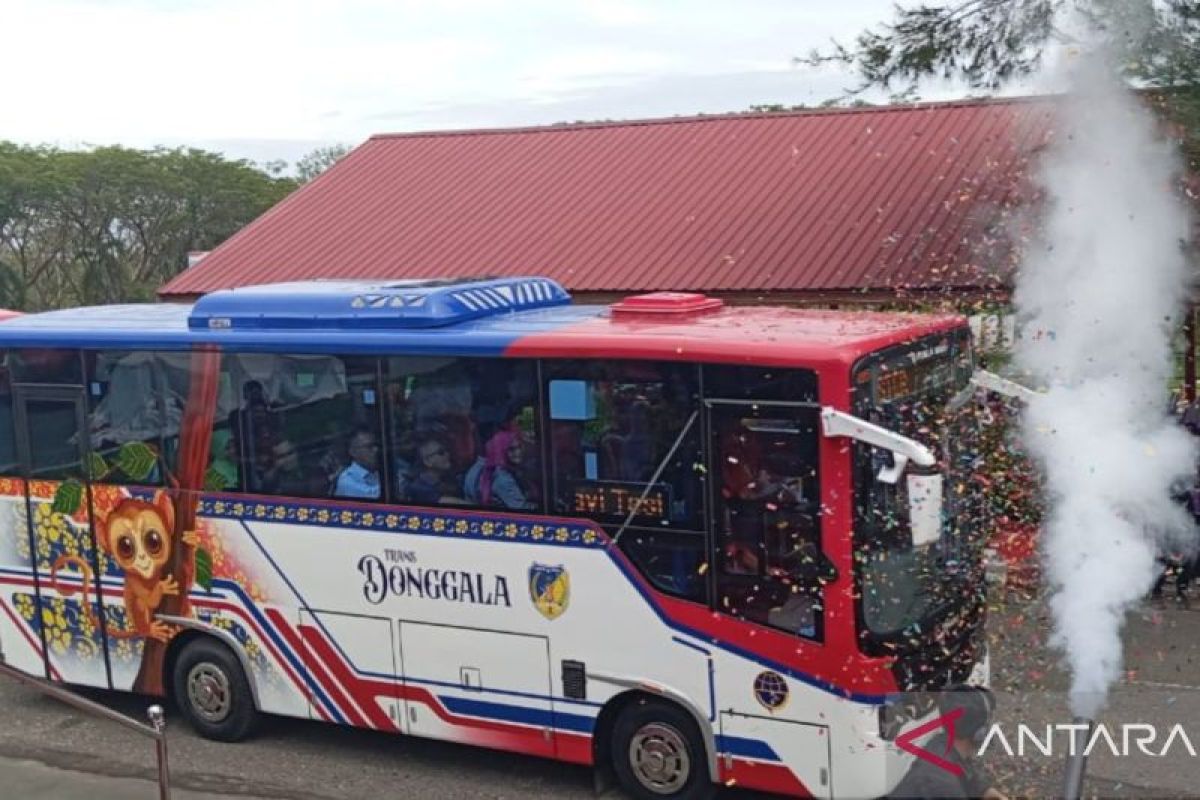 Pemkab -Donggala pastikan transportasi umum mudahkan aktivitas warga