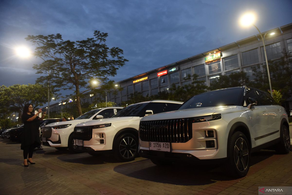 Indonesia attracts EV plants from three global automakers: minister