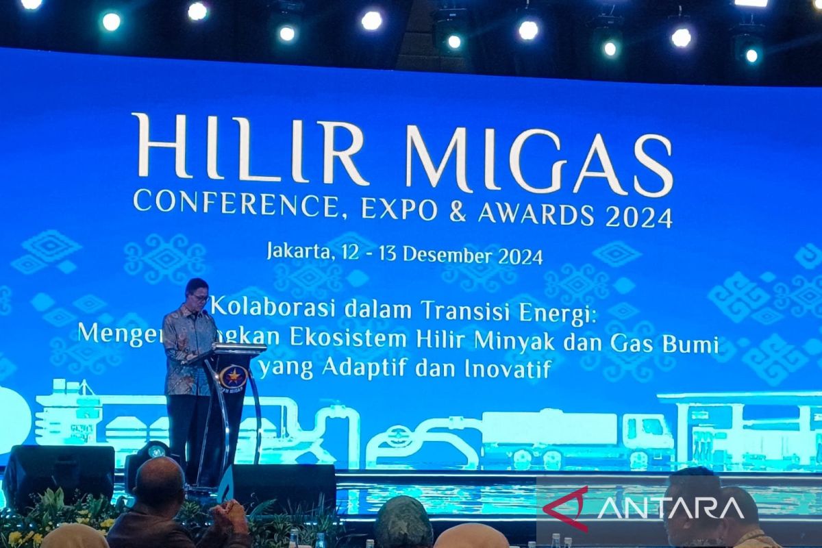 Wamen ESDM sebut kebutuhan gas bisa dipenuhi lewat optimalisasi LNG