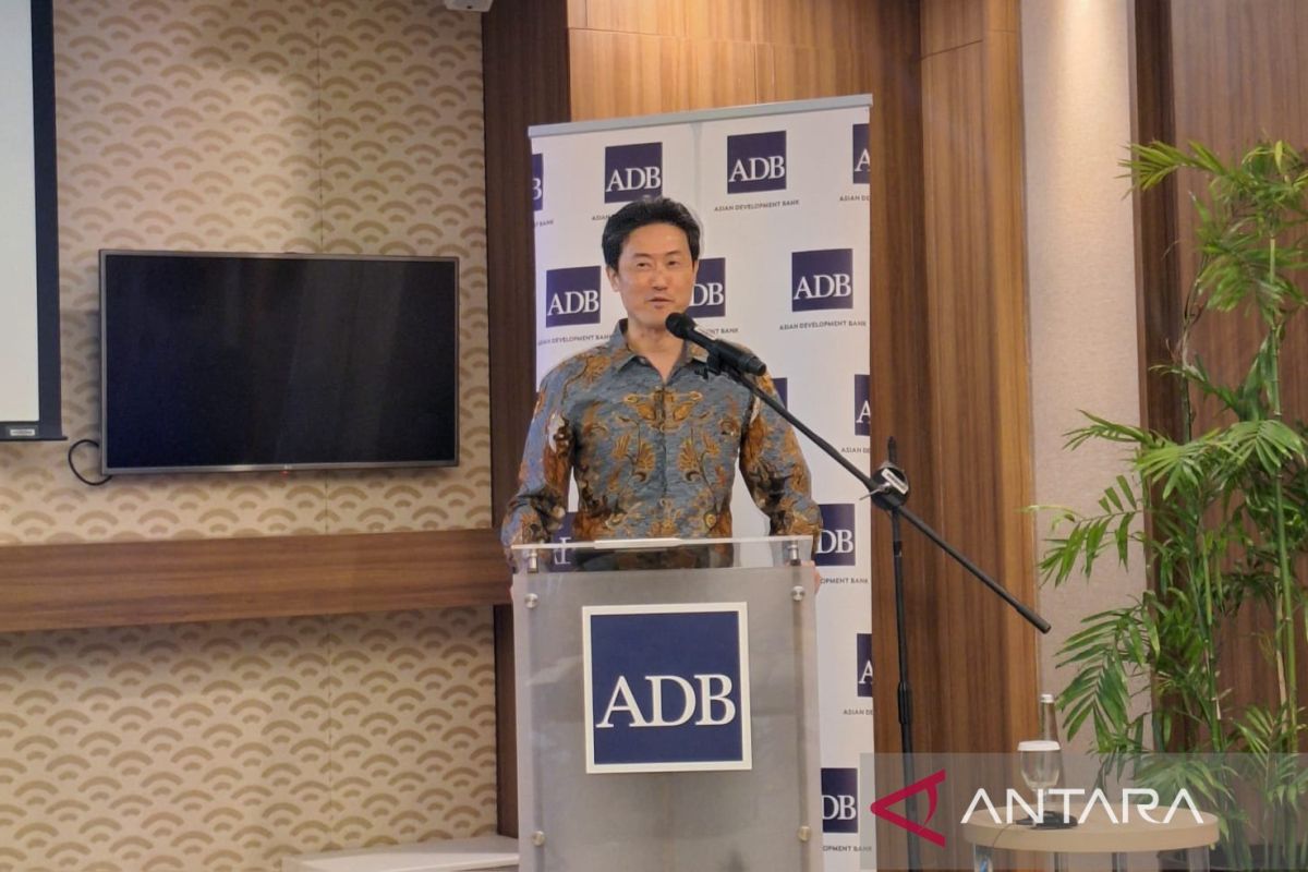 ADB: Penegakan kebijakan pajak tingkatkan penerimaan pajak