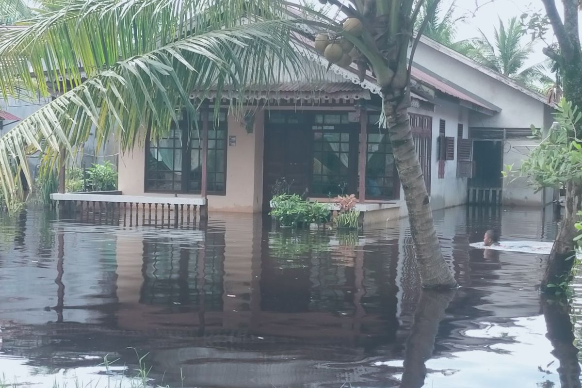 Sebanyak 41 KK warga Singkawang Utara dievakuasi dari banjir