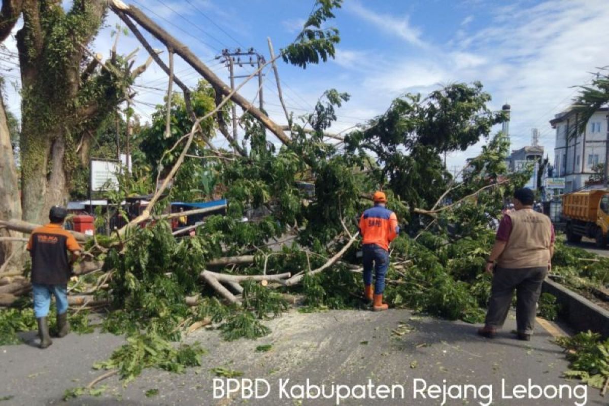 BPBD Rejang Lebong keluarkan peringatan bahaya angin kencang