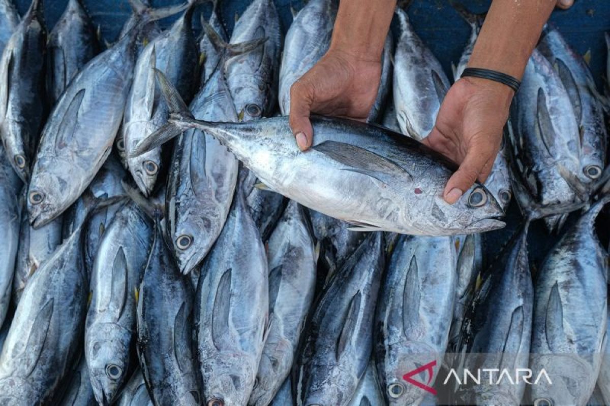 BRIN tengah kembangkan vaksin ikan untuk jaga produktivitas pangan