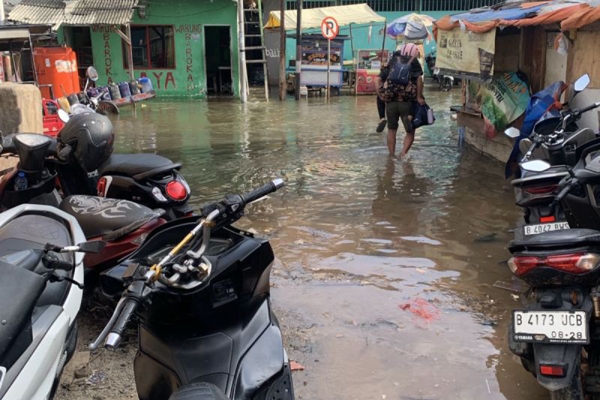 Banjir rob kembali rendam kawasan Muara Angke pada Jumat pagi