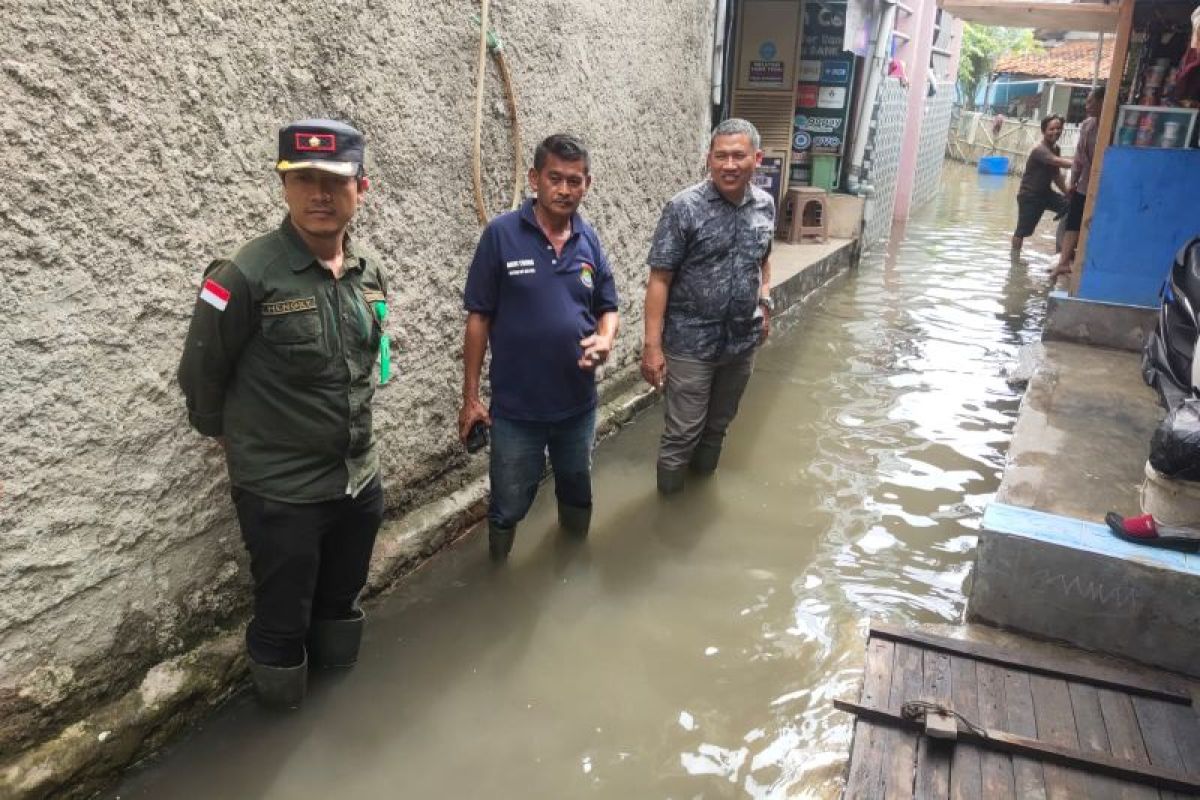 1.963 jiwa di Dadap Tangerang terdampak banjir rob